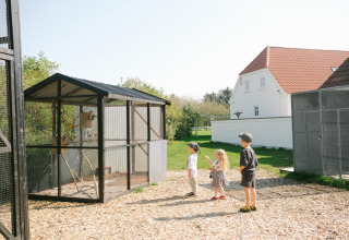 Børn kigger på fugle i et bur ved Løkken Klit Camping, en ferielejr i Nordjylland, Danmark.