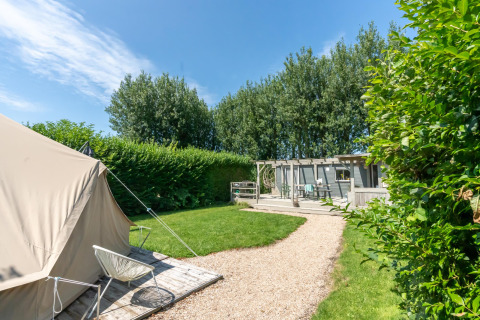 Sunny camping spot at 7Huizen aan Zee, Zeeland, with tent, green lawn, and terrace surrounded by hedges.