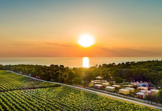 Sunset at Camping Aminess Maravea in Istria, Croatia, with lush fields, cabins and the sea in the background.