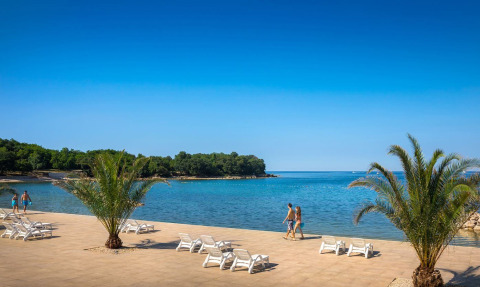 Beach scene at Camping Aminess Maravea, Istria, Croatia, with palm trees, lounge chairs, and clear water.