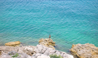 Un pájaro solitario sobre rocas junto al mar turquesa cerca de Mali Lošinj, Primorje-Gorski Kotar, Croacia.