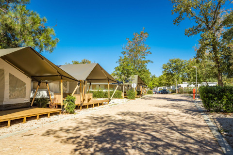Safari-Zelt Comfort auf dem Campingplatz Stella Maris in Kroatien mit Holzterrasse und Bäumen bei Sonnenschein.