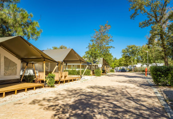 Safari Tent Comfort op Camping Stella Maris in Kroatië met houten terras en bomen onder een heldere blauwe lucht.