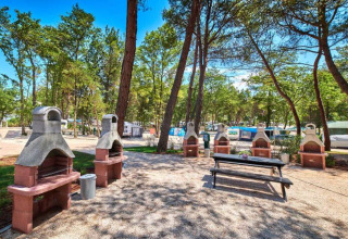 Udendørs grillområde med flere grill og picnicbord på Camping Stella Maris, Istrien, Kroatien.