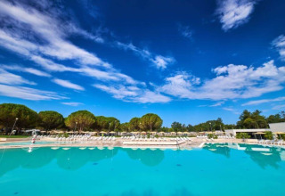 Grande piscina con lettini e alberi attorno al Camping Stella Maris, villaggio vacanze in Istria, Croazia.