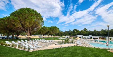 Outdoor pool area with sun loungers, umbrellas, and lush trees at Camping Stella Maris in Istria, Croatia.