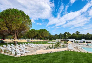 Outdoor pool area with sun loungers, umbrellas, and lush trees at Camping Stella Maris in Istria, Croatia.