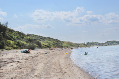 Strand bij Toftum Bjerge Camping, Midden-Denemarken, met bezoekers op het zand en in het water.