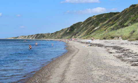 Playa en Toftum Bjerge Camping, Dinamarca, con personas nadando y acantilados verdes al fondo.