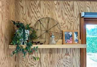 Plank in Cozy Lodge in Bungalowpark Het Verscholen Dorp met plant, decoratie en fotokadertjes.