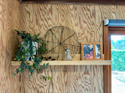 En hylde i Cozy Lodge ved Bungalowpark Het Verscholen Dorp med planter, rammer og dekorationer.