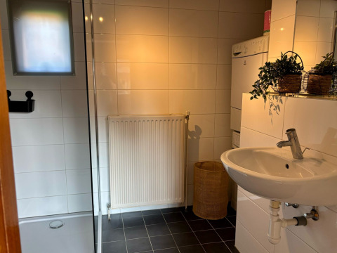 Moderne badkamer met wasbak en douche in Cozy Lodge, Bungalowpark Het Verscholen Dorp, Nederland.