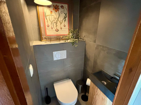 Moderne og kompakt badeværelse med toilet, håndvask, dekorationsbillede og plante på hylde.