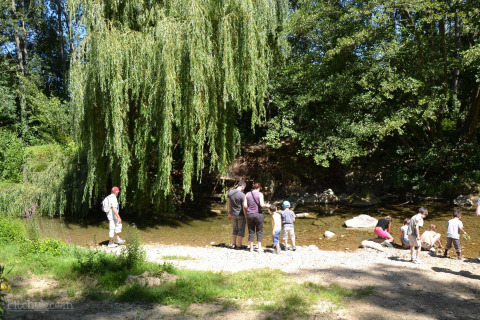 Familias y niños juegan junto a un río bajo sauces en Camping Le Château, Auvergne-Rhône-Alpes, Francia.