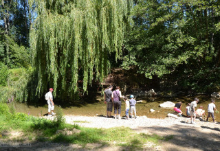 Gezinnen met kinderen spelen bij een riviertje onder wilgen bij Camping Le Château in Auvergne-Rhône-Alpes.