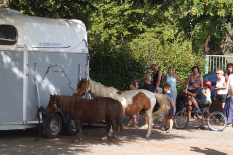 Niños y adultos junto a ponis y un remolque de caballos en Camping Le Château, Auvergne-Rhône-Alpes, Francia.