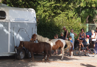Bambini e adulti con pony e un rimorchio per cavalli a Camping Le Château, Auvergne-Rhône-Alpes, Francia.