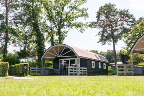 Encantadora Vechtdallodge en Kampeerdorp de Zandstuve, Países Bajos, rodeada de árboles y césped verde.