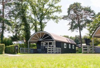 Encantadora Vechtdallodge en Kampeerdorp de Zandstuve, Países Bajos, rodeada de árboles y césped verde.
