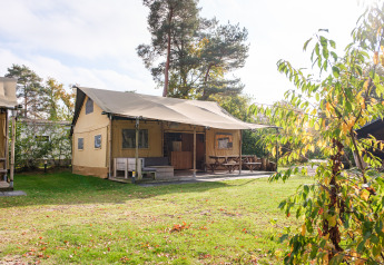Tenda safari Verandalodge con veranda coperta, panche da esterno e prato verde circondato da alberi.