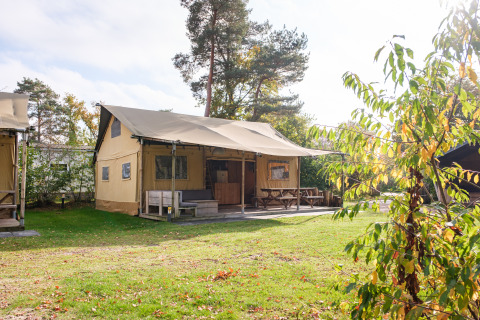Tenda safari Verandalodge con veranda coperta, panche da esterno e prato verde circondato da alberi.
