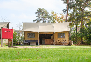 Verandalodge safaritent in Kampeerdorp de Zandstuve, Nederland, omringd door grasveld en bomen.
