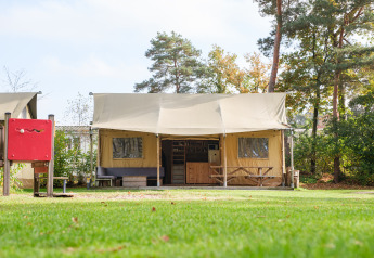Tente safari Verandalodge au Kampeerdorp de Zandstuve, Pays-Bas, entourée d’arbres et pelouse verte.