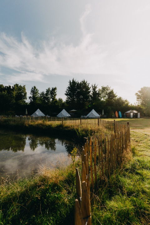 Solrig campingplads ved søen med telte, grønne træer og hegn hos REBL Outdoor i Friesland, Nederlandene.