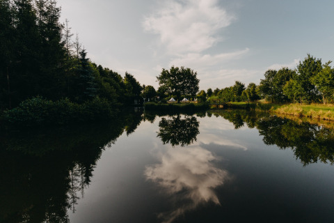 Splendido riflesso di alberi e nuvole nel lago al REBL Outdoor holiday park in Frisia, Paesi Bassi.