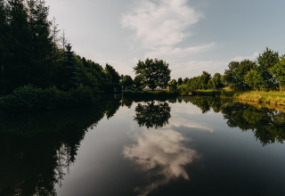 Spektakulært spejlbillede af træer og skyer i søen ved REBL Outdoor-feriepark i Friesland, Holland.
