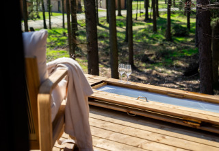 Vista desde la Koya Tiny Cabin en Wilsumer Berge, Alemania, con dos copas de vino en la terraza de madera.