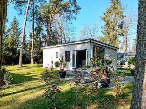 Forest Lodge De Mooie Plek au Bospark Markelo aux Pays-Bas, entouré d’arbres et d’herbe verte luxuriante.