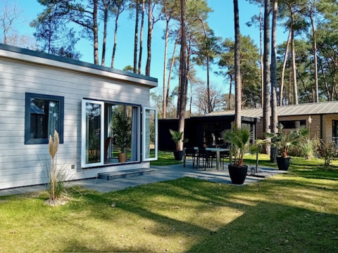 Forest Lodge De Mooie Plek presso Bospark Markelo nei Paesi Bassi, casa moderna e terrazza tra alberi alti.