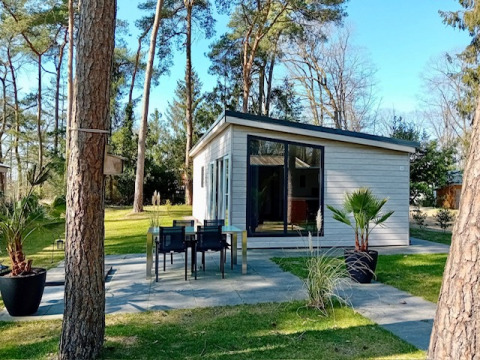 Forest Lodge De Mooie Plek en Bospark Markelo, Países Bajos, rodeado de árboles y césped verde.