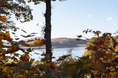 View from a lodge overlooking a lake, framed by autumn trees and distant hills under a clear sky.