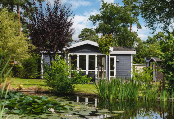 Piccola casa nera vicino a uno stagno tra alberi verdi a Forest Lodge Wellness, Bospark Markelo, Paesi Bassi.