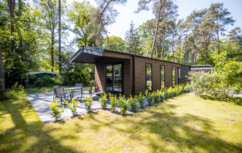Forest Lodge Comfort met grote ramen, tuinterras en veel groen, gelegen tussen hoge bomen in het bos.