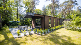 Forest Lodge Comfort mit viel Glas, moderner Terrasse und Garten, umgeben von hohen Bäumen im Wald.