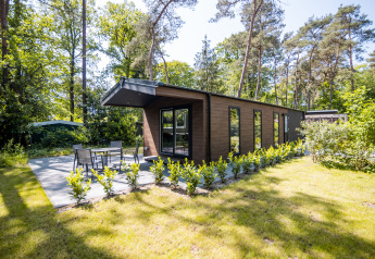 Forest Lodge Comfort mit viel Glas, moderner Terrasse und Garten, umgeben von hohen Bäumen im Wald.