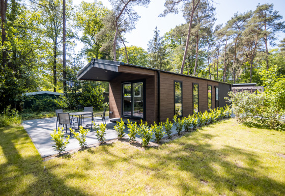 Forest Lodge Comfort mit viel Glas, moderner Terrasse und Garten, umgeben von hohen Bäumen im Wald.