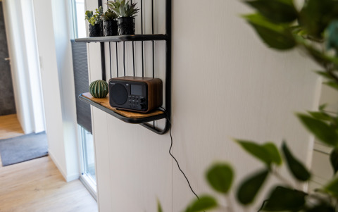 Scaffale interno con radio, piccole piante e cactus presso Forest Lodge Comfort a Bospark Markelo, Paesi Bassi.