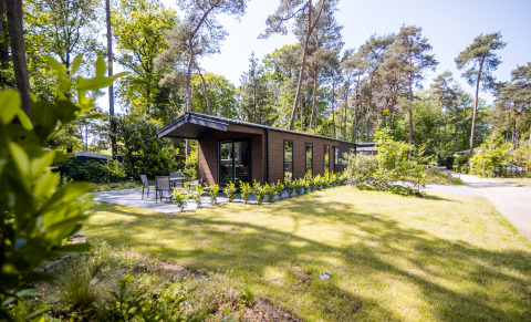 Forest Lodge Comfort im Bospark Markelo, Niederlande, eingebettet in einen sonnigen, bewaldeten Garten.