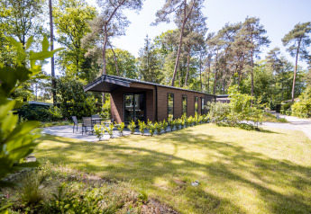Forest Lodge Comfort en Bospark Markelo, Países Bajos, rodeado de naturaleza y altos árboles verdes.