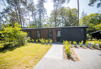 Forest Lodge Comfort au Bospark Markelo aux Pays-Bas, entouré de pins et d'un jardin paysager verdoyant.