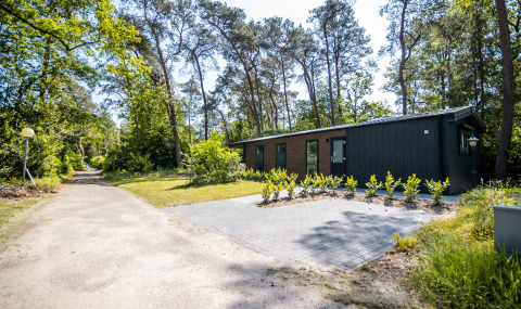 Moderne Forest Lodge Comfort op Bospark Markelo in Nederland, omringd door bomen en groene natuur.