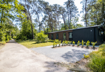 Forest Lodge Comfort moderne au Bospark Markelo aux Pays-Bas, entourée d’arbres et de nature verdoyante.