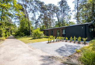 Moderna Forest Lodge Comfort al Bospark Markelo nei Paesi Bassi, circondata da alberi alti e natura verde.