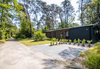 Moderne Forest Lodge Comfort im Bospark Markelo, Niederlande, umgeben von hohen Bäumen und Natur.