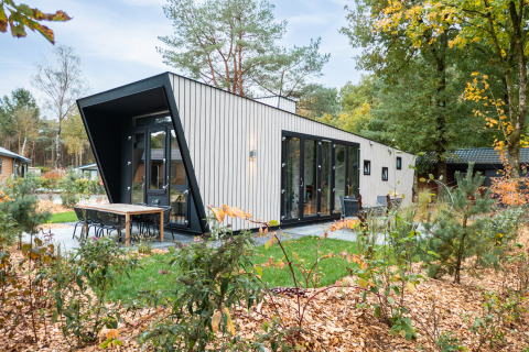 Moderne lodge Just Nature bij De Utrechtse Heuvelrug in Nederland omgeven door bomen en herfstbladeren.
