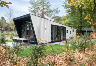 Moderne lodge Just Nature bij De Utrechtse Heuvelrug in Nederland omgeven door bomen en herfstbladeren.